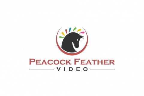 Visit Peacock Feather Video