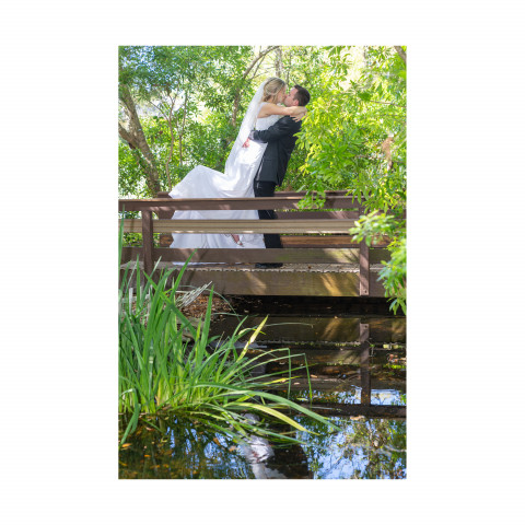 Visit Ron Greenberg of RGPhotoandVideo4u.com